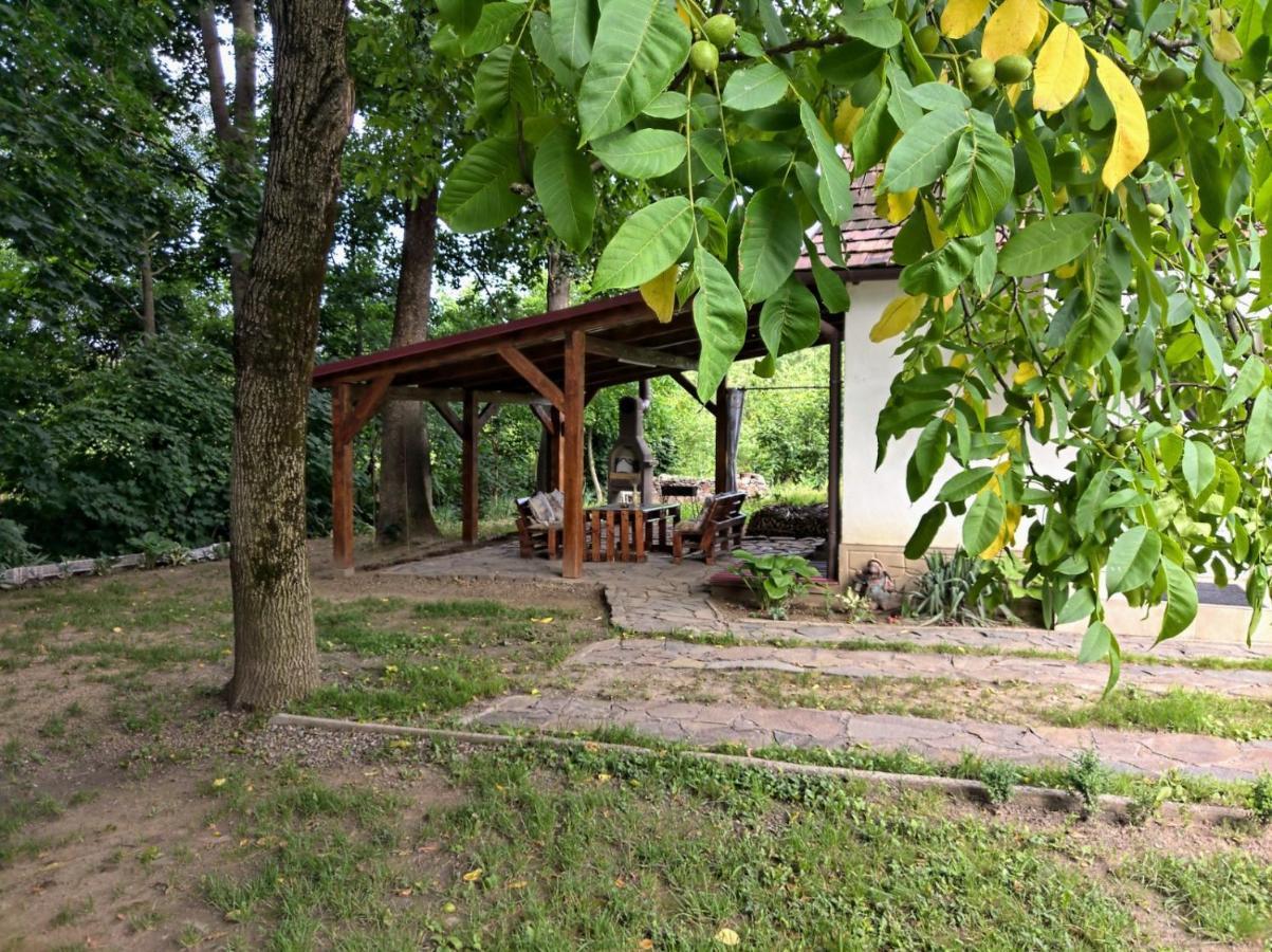Hotel Окремий Будинок-Апартаменти Rakoshyno Exterior foto